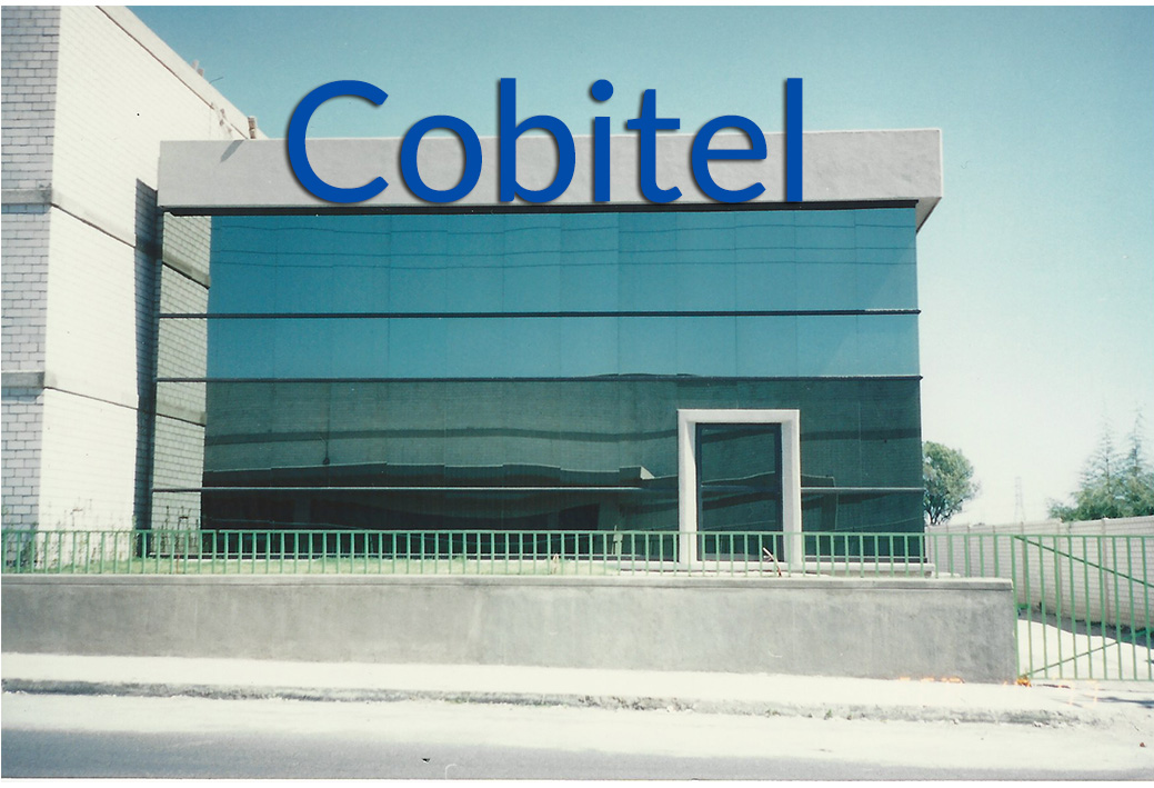 CobitelAnt3